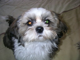 �V�[�Y�[��D���I