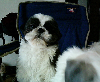 �V�[�Y�[��D���I