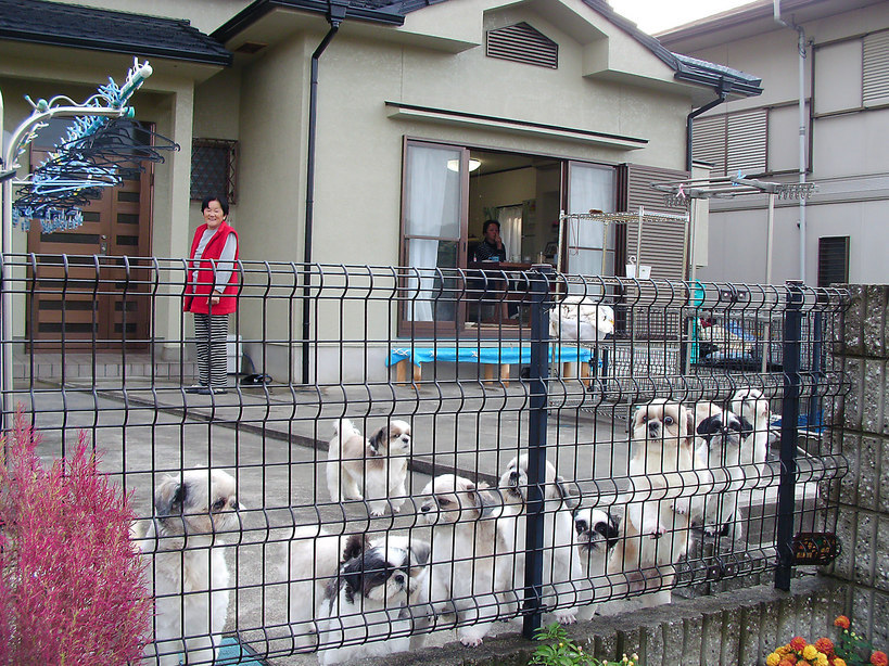 �V�[�Y�[��D���I