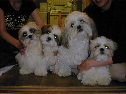 �V�[�Y�[��D���I