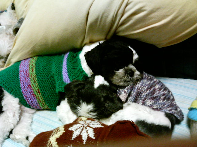 �V�[�Y�[��D���I