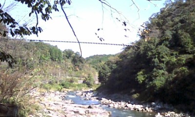 �������n��܂��Â��苦�c��