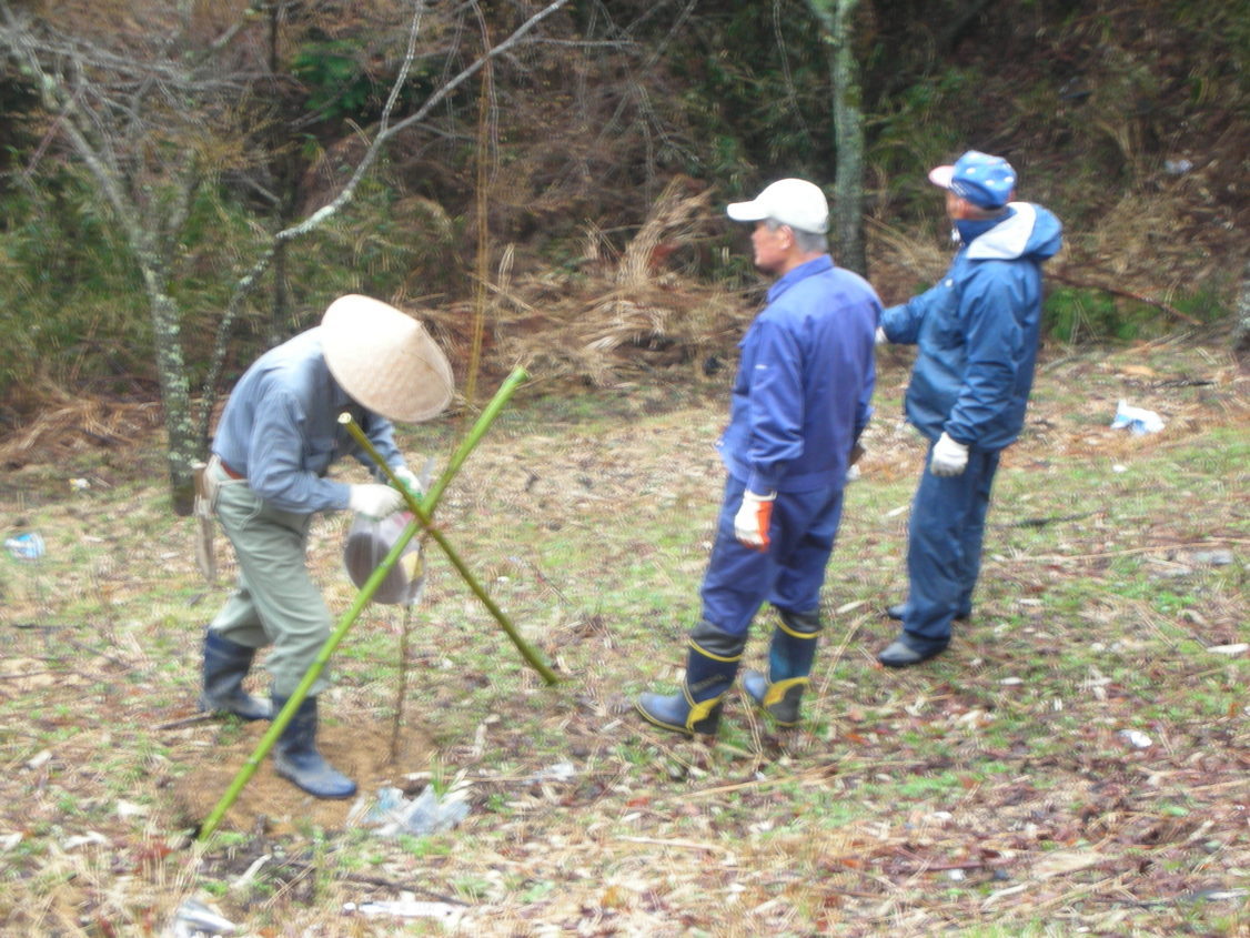 �������n��܂��Â��苦�c��