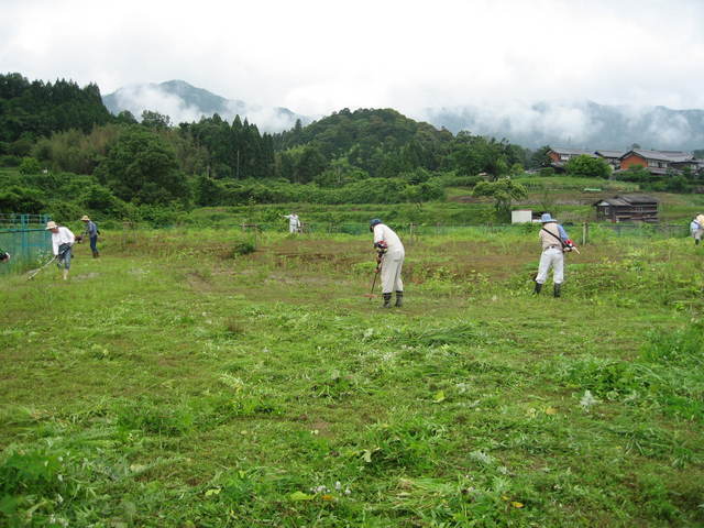 �������n��܂��Â��苦�c��