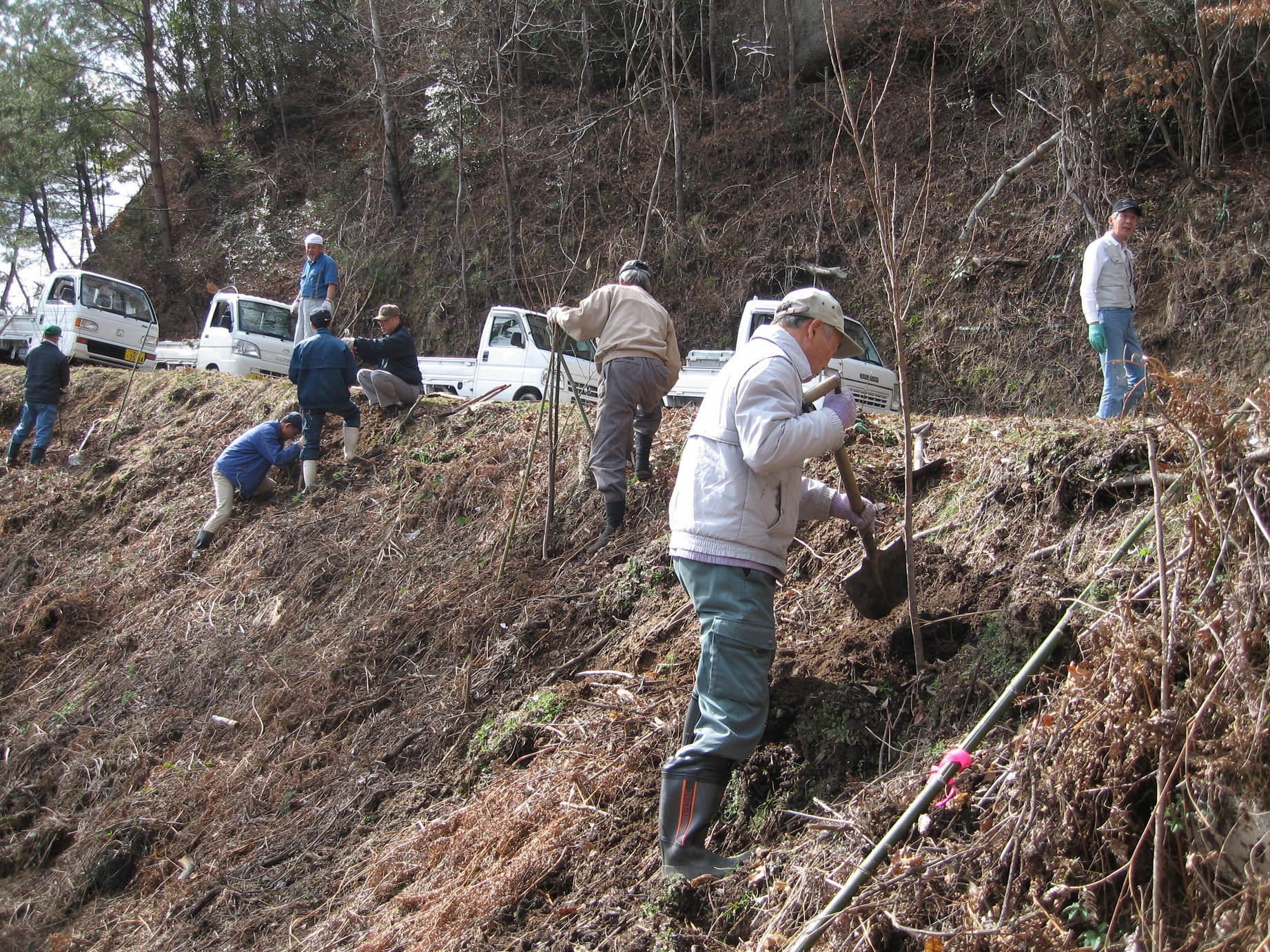 �������n��܂��Â��苦�c��