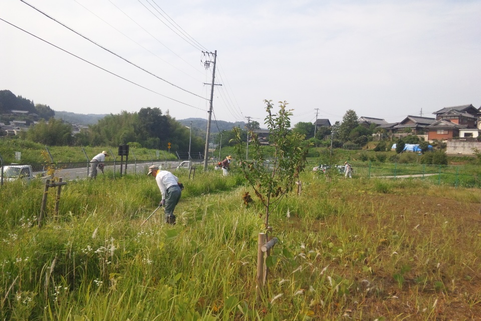 �������n��܂��Â��苦�c��