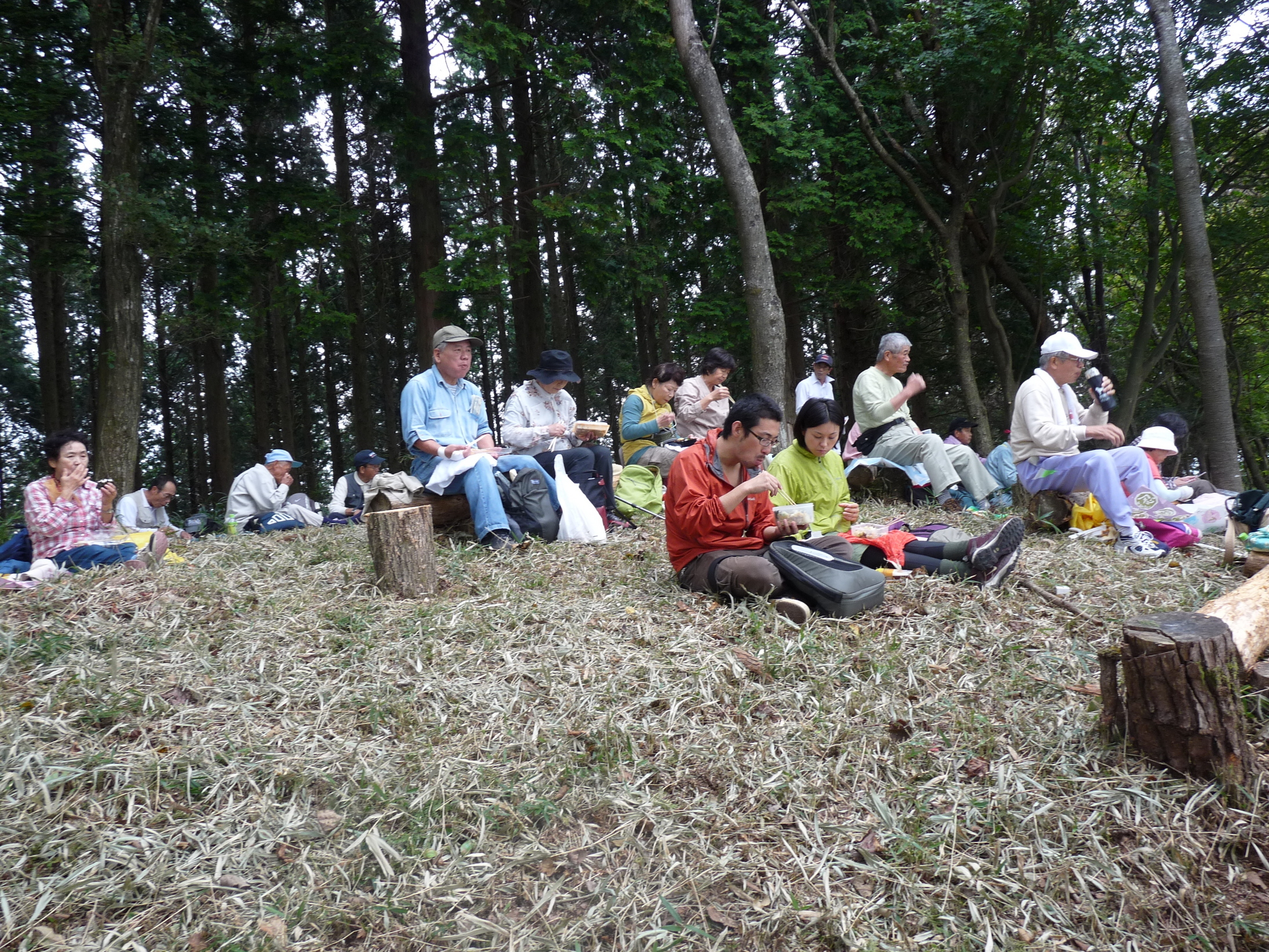 �������n��܂��Â��苦�c��