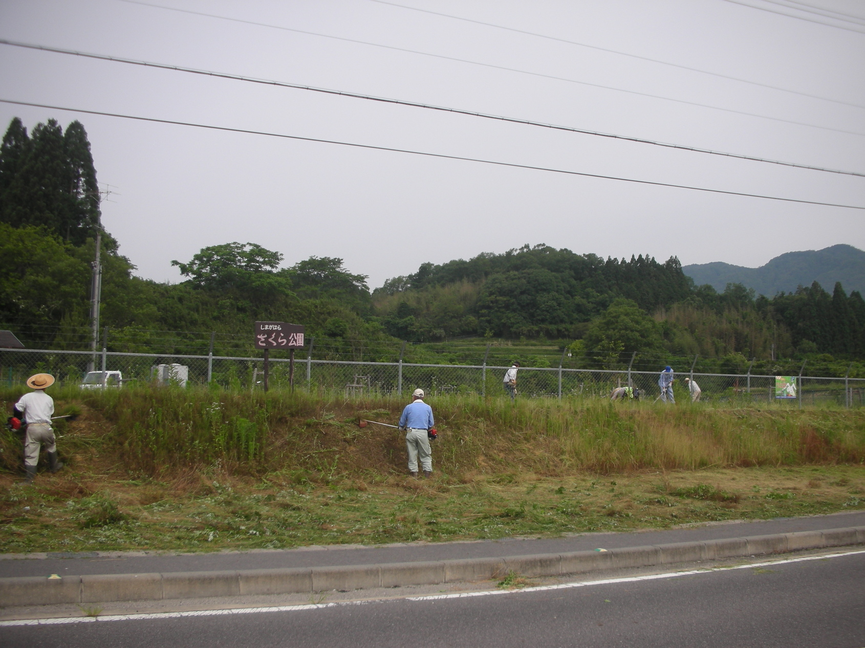 �������n��܂��Â��苦�c��