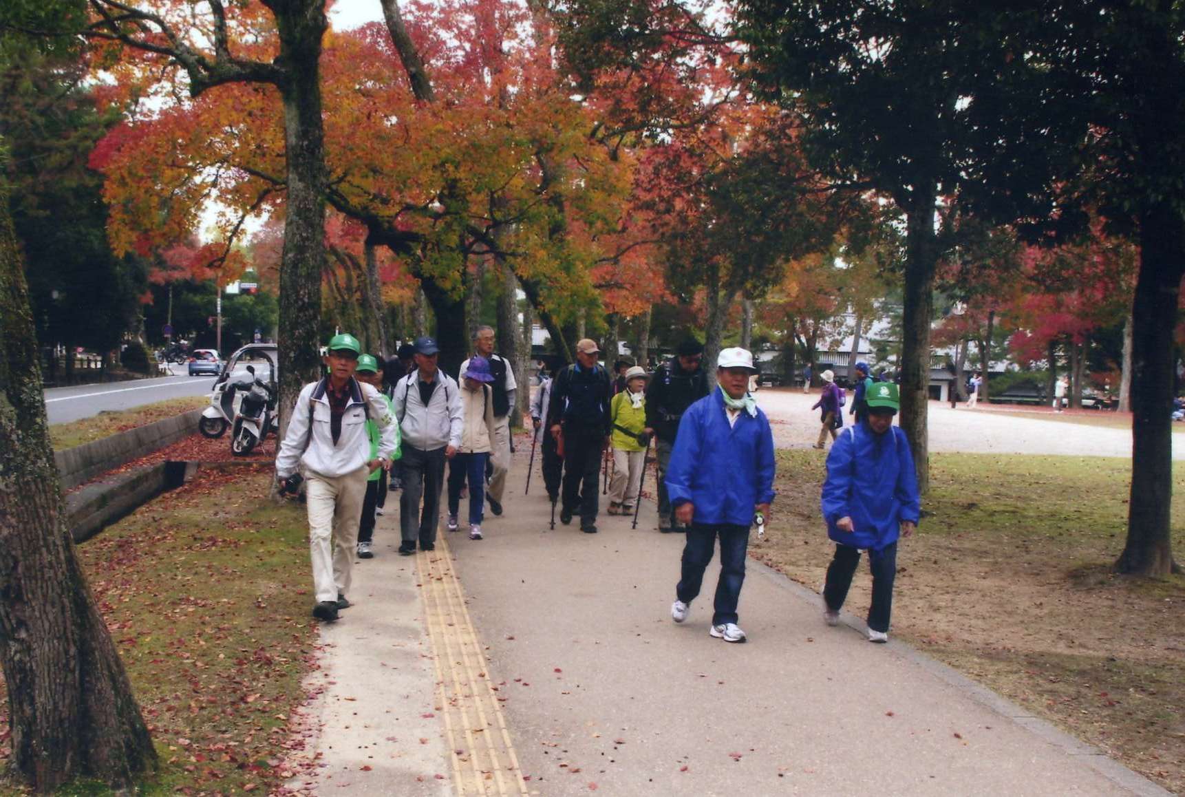 �������n��܂��Â��苦�c��