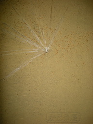 ���Ⴉ��@�@���Ƃ���