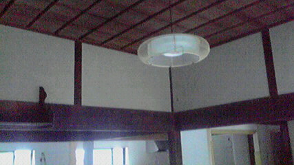 ���Ⴉ��@�@���Ƃ���