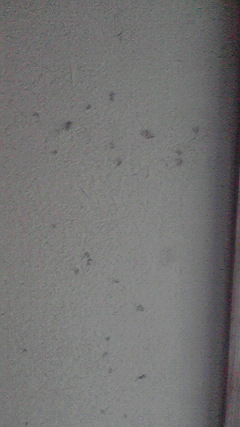 ���Ⴉ��@�@���Ƃ���