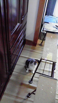 ���Ⴉ��@�@���Ƃ���