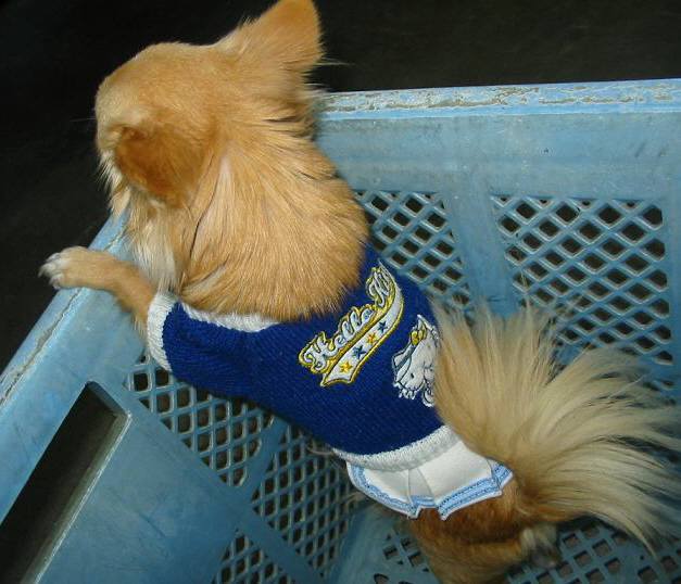 ���݂ʂ���������Ƃ��ʂ̂킳��