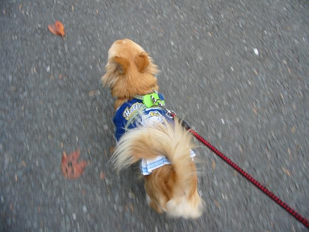 ���݂ʂ���������Ƃ��ʂ̂킳��