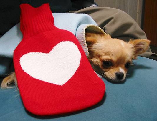 ���݂ʂ���������Ƃ��ʂ̂킳��