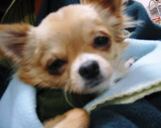 ���݂ʂ���������Ƃ��ʂ̂킳��