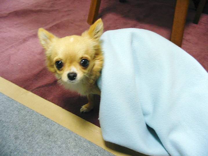 ���݂ʂ���������Ƃ��ʂ̂킳��