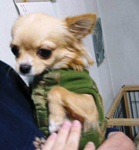 ���݂ʂ���������Ƃ��ʂ̂킳��