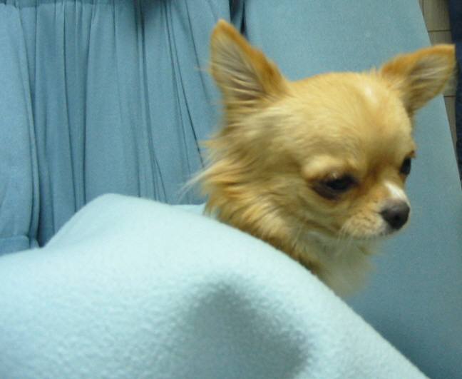 ���݂ʂ���������Ƃ��ʂ̂킳��