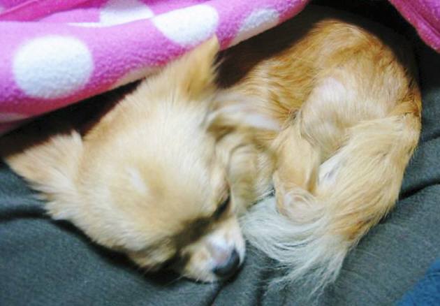 ���݂ʂ���������Ƃ��ʂ̂킳��