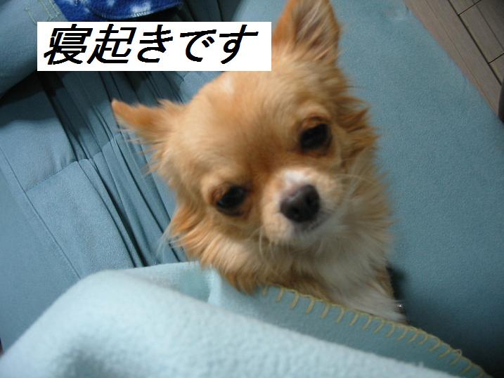 ���݂ʂ���������Ƃ��ʂ̂킳��