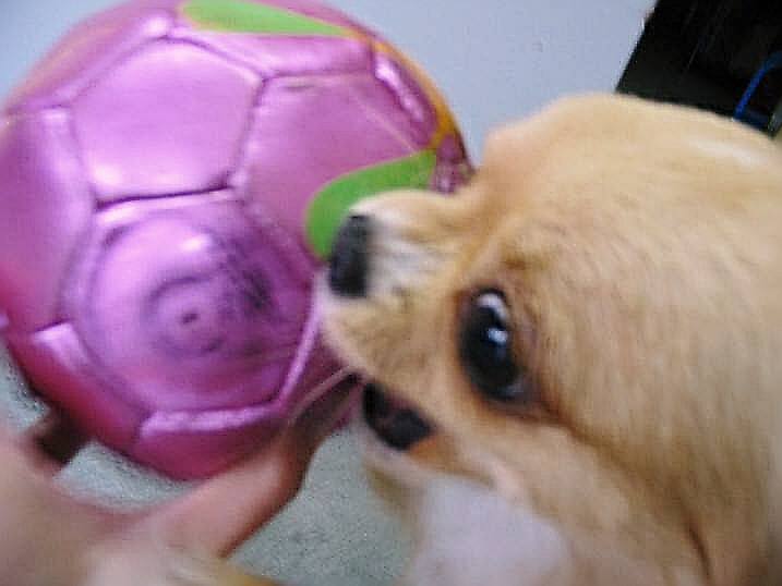 ���݂ʂ���������Ƃ��ʂ̂킳��