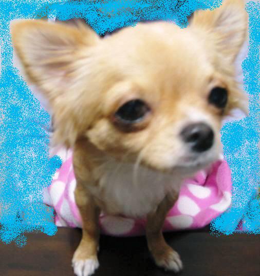 ���݂ʂ���������Ƃ��ʂ̂킳��