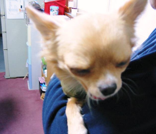 ���݂ʂ���������Ƃ��ʂ̂킳��