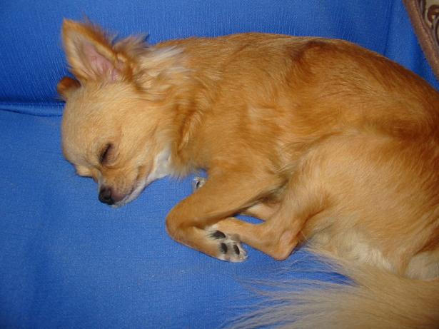 ���݂ʂ���������Ƃ��ʂ̂킳��