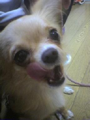 ���݂ʂ���������Ƃ��ʂ̂킳��