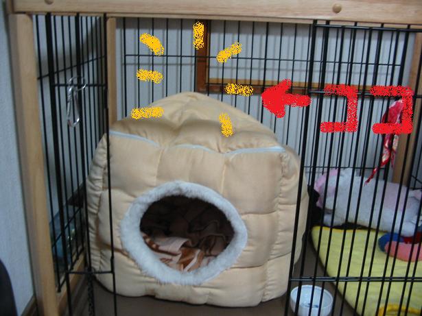 ���݂ʂ���������Ƃ��ʂ̂킳��