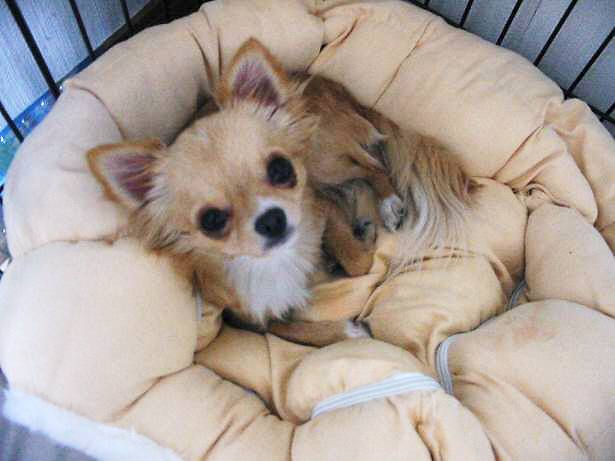 ���݂ʂ���������Ƃ��ʂ̂킳��