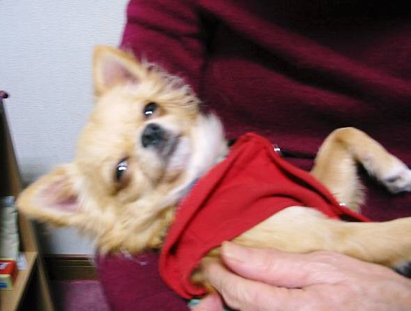 ���݂ʂ���������Ƃ��ʂ̂킳��