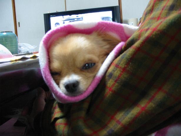 ���݂ʂ���������Ƃ��ʂ̂킳��