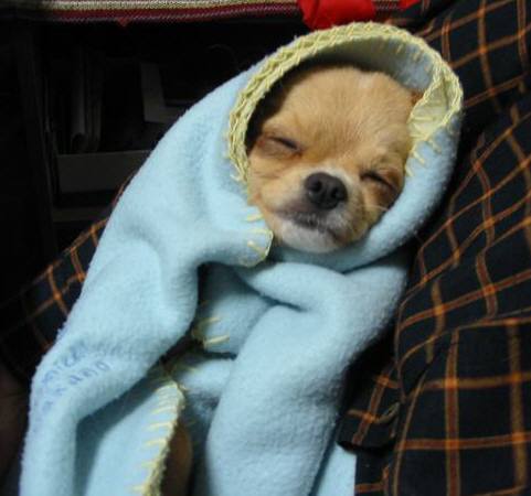 ���݂ʂ���������Ƃ��ʂ̂킳��