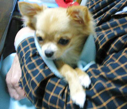 ���݂ʂ���������Ƃ��ʂ̂킳��