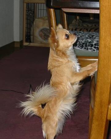 ���݂ʂ���������Ƃ��ʂ̂킳��