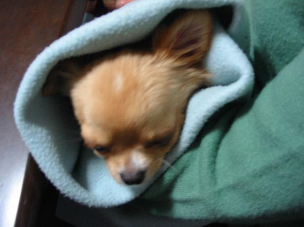 ���݂ʂ���������Ƃ��ʂ̂킳��