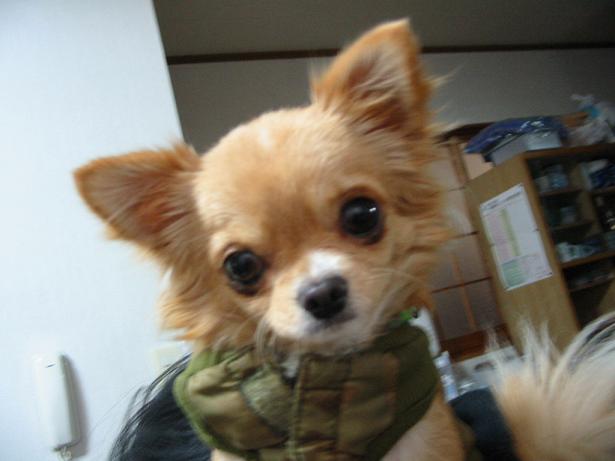 ���݂ʂ���������Ƃ��ʂ̂킳��