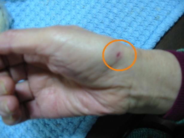 ���݂ʂ���������Ƃ��ʂ̂킳��