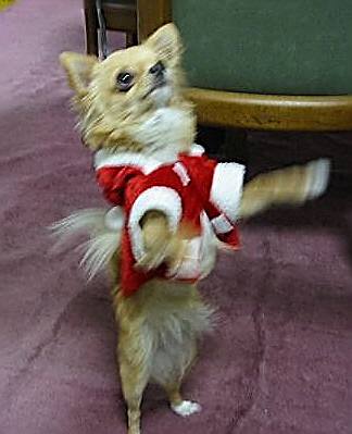 ���݂ʂ���������Ƃ��ʂ̂킳��