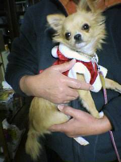 ���݂ʂ���������Ƃ��ʂ̂킳��