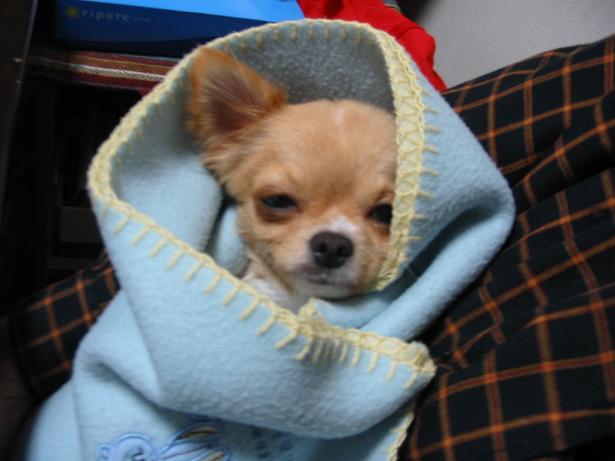 ���݂ʂ���������Ƃ��ʂ̂킳��