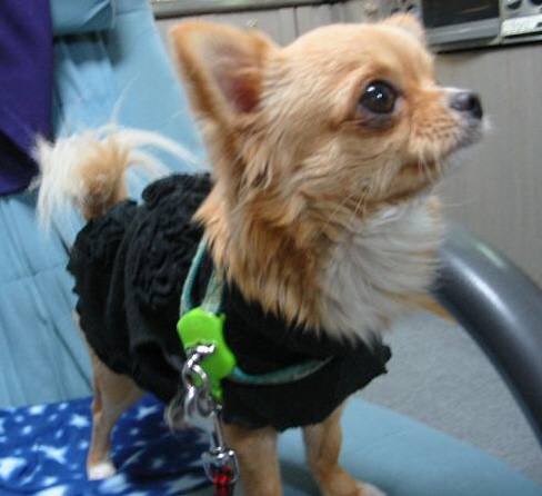 ���݂ʂ���������Ƃ��ʂ̂킳��