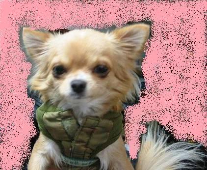 ���݂ʂ���������Ƃ��ʂ̂킳��