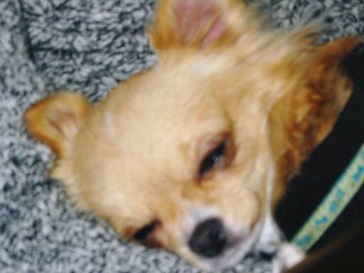 ���݂ʂ���������Ƃ��ʂ̂킳��