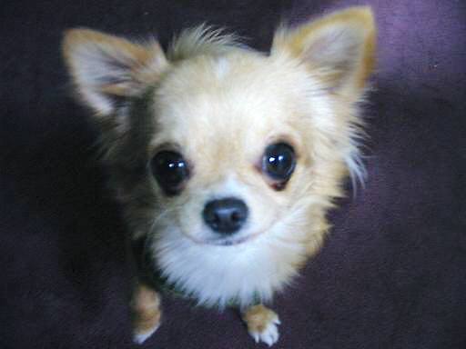 ���݂ʂ���������Ƃ��ʂ̂킳��