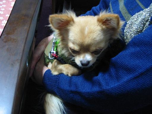 ���݂ʂ���������Ƃ��ʂ̂킳��