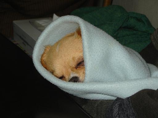 ���݂ʂ���������Ƃ��ʂ̂킳��